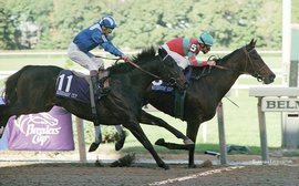 Safely Kept: ‘She’d beat the gate and have two lengths on them before they went four jumps’