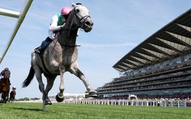 What’s been happening: Field Of Gold shines at Royal Ascot, Shisospicy, Matilda, Mystik Dan and more …