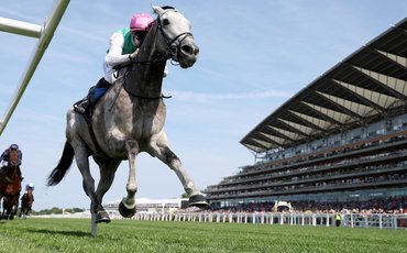 What’s been happening: Field Of Gold shines at Royal Ascot, Shisospicy, Matilda, Mystik Dan and more …