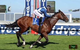 South African star Whisky Baron on target for Newmarket