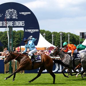 longines horse racing
