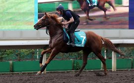 Walker hoping some of Cumani’s magic rubs off in Sha Tin mission