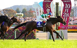 Japan Cup: it’s all coming right for Rey De Oro to show his true quality