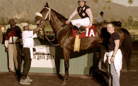 Unforgettable tales from a generation of black stable hands who gave racing a sturdy backbone