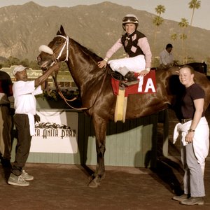 Unforgettable tales from a generation of black stable hands who gave racing a sturdy backbone ...