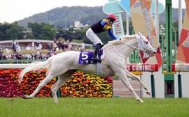 Great white wonder: watch how ‘idol horse’ Sodashi earns Breeders’ Cup spot with popular Tokyo triumph