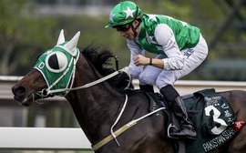 Cruz hoping Buick can work his magic with Pakistan Star in the big one