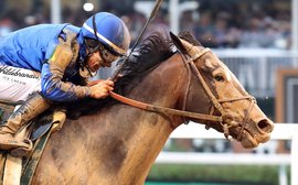 World rankings: ‘You never dare to think something like this would happen’ – Godolphin reign supreme