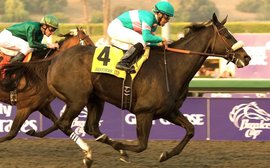 ‘A symphony in 20 inspiring parts … there’s little to compare’ – Jay Hovdey on Zenyatta