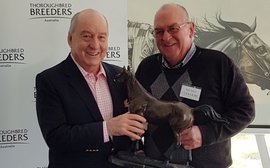 Snitzel crowned champion as breeding awards celebrate Australia’s best
