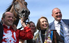 She left it late, but Gai Waterhouse seems to have unearthed another real Melbourne Cup prospect