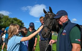 A life after racing: meet York’s gentle equine ambassador, the former G1 sprint star Goldream