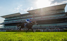 Team Winx on a high as the great mare signs off in style
