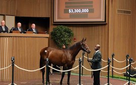 What’s been happening: Keeneland sale records, British racing strike, Arc latest and more …