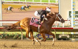 The Chosen Vron: ‘Beyond his daunting record, he’s an easy horse to embrace’ – Jay Hovdey on a sprint sensation