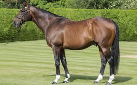 Frankel takes over from Dubawi as world’s #1 sire on current global rankings