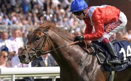 What makes this horse a value bet for the July Cup? The clues are there for all to see