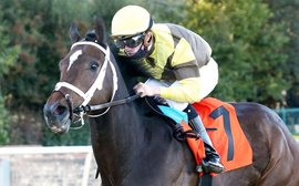 Will Caddo River - not Essential Quality - prove to be Brad Cox’s main Derby horse?