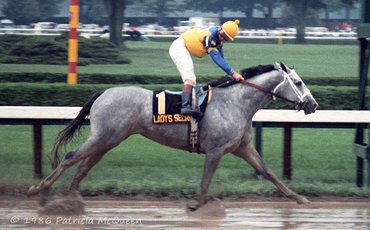 Staying power: Tracing the enduring Horse of the Year connection to Secretariat’s name