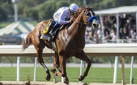 The Baffert positives: The Horseracing Integrity and Safety Authority can’t get here soon enough
