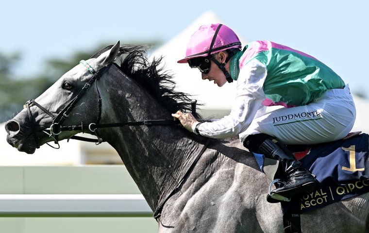 Royal Ascot rankings update: ‘That was a great performance’ – Field Of Gold enters world top five 