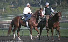 How Secretariat’s offspring contributed to the fabled career of D. Wayne Lukas
