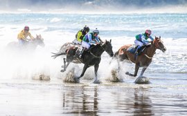 Seaside sport: horse racing returns to iconic Castlepoint Beach
