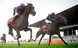 Melbourne Cup: Aidan O’Brien has played his hand perfectly 