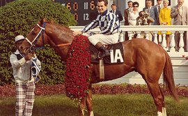 Passion, knowledge and insight in a beautifully produced labor of love – Charles Hayward on brilliant new Secretariat book