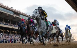 The Breeders’ Cup was the fixture that had it all