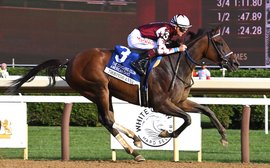 What’s been happening: Thorpedo Anna, Romantic Warrior, Guineas entries and more …