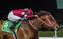 How to bet the Dubai World Cup card: Why Forever Young cannot be opposed