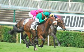 Arc week special: ten reasons why the French are struggling to compete