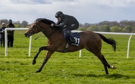 Outstanding quality: ten of the best G1 performers sourced at the Tattersalls Craven Breeze Up Sale