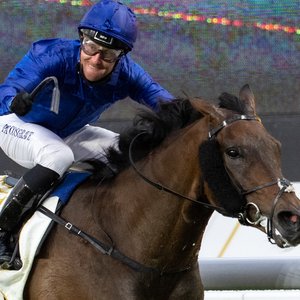 Jockey jerkins new arrivals