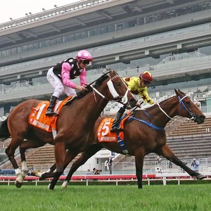 What’s been happening in the racing industry around the world  Topics: Fasig-Tipton, Iffraaj 