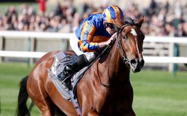 Breeders’ Cup Friday: which European runners have the best chance of success at Del Mar?