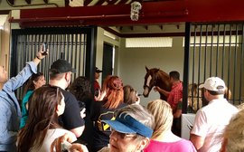 Chrome and Pharoah the big draws in a ‘whole new way to tell the story of the Thoroughbred’