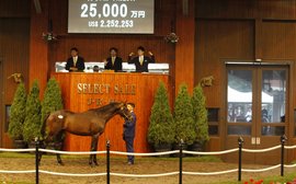 Seven Days in Racing: industry news from around the world