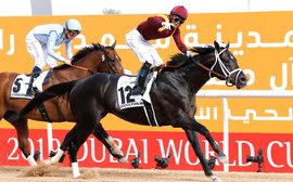 Team America riding high after $7.8m worth of success on a proud night in Dubai