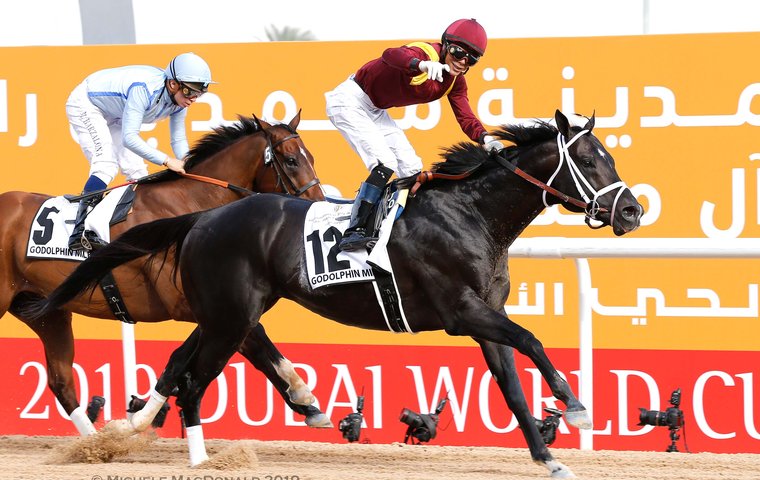 Team America riding high after $7.8m worth of success on a proud night in Dubai