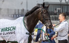 World rankings: All systems go for Breeders’ Cup as globetrotting giant Rebel’s Romance lands ninth G1 win