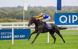 Royal Ascot: Wonderful Tonight may provide a final-day highlight