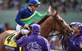 The horses out to give New York-breds another Breeders’ Cup day in the sun 