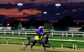 Breeders' Cup announces individual head2head wagering matchups