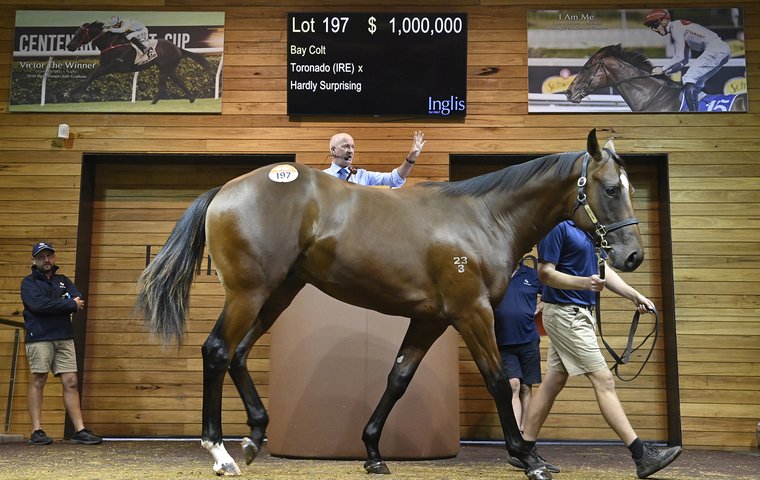 Sale Preview: Inglis Premier Yearling Sale