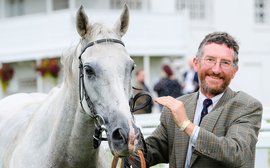 How do you cope with the loss of a special horse? John Berry on the extraordinary Roy Rocket