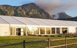 Sale Preview: BSA Cape Yearling Sale