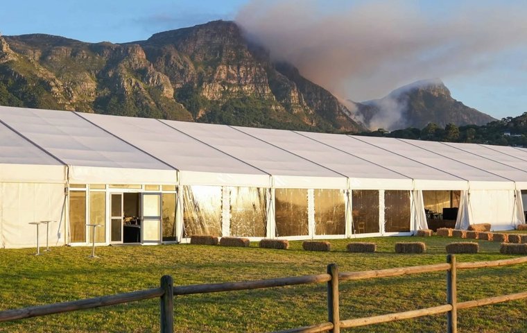 Sale Preview: BSA Cape Yearling Sale