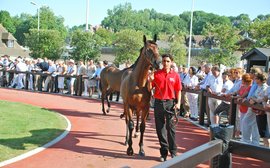 Kitten’s Joy, the Deauville Sale and a plan that’s coming together 